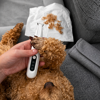 Canelle Calm Paw Trimmer
